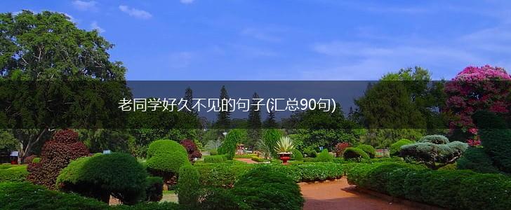 老同学好久不见的句子(汇总90句),第1张