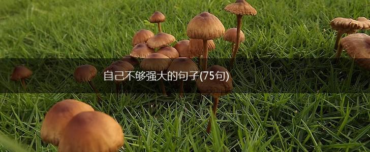 自己不够强大的句子(75句),第1张