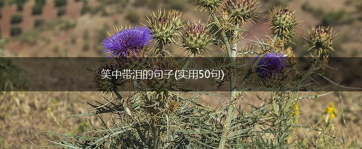 笑中带泪的句子(实用50句),第1张