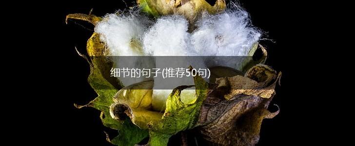 细节的句子(推荐50句),第1张
