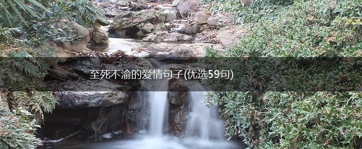 至死不渝的爱情句子(优选59句),第1张