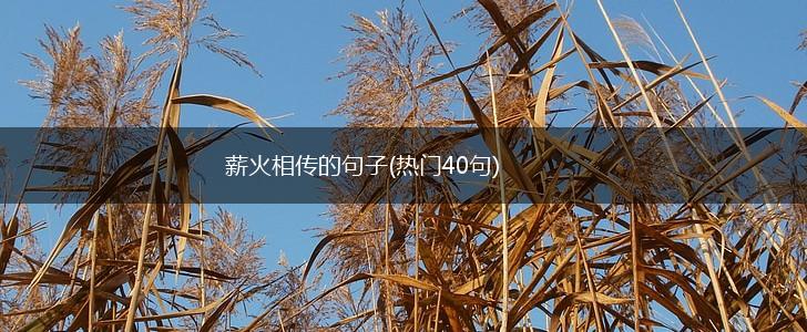 薪火相传的句子(热门40句),第1张