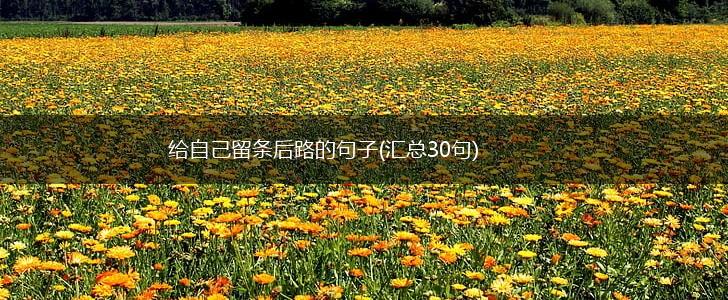 给自己留条后路的句子(汇总30句),第1张