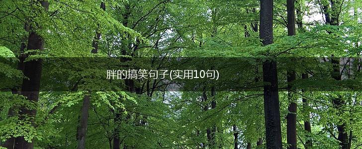 胖的搞笑句子(实用10句),第1张