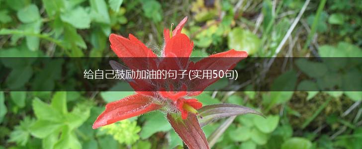 给自己鼓励加油的句子(实用50句),第1张
