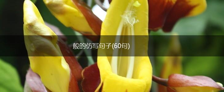 般的仿写句子(60句),第1张