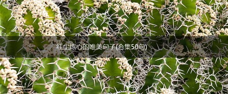红尘炼心的唯美句子(合集50句),第1张