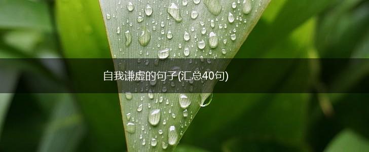 自我谦虚的句子(汇总40句),第1张