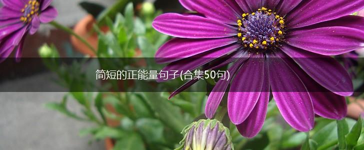 简短的正能量句子(合集50句),第1张