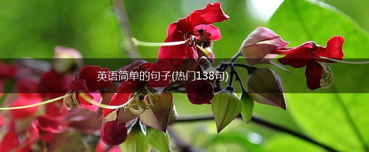 英语简单的句子(热门138句),第1张