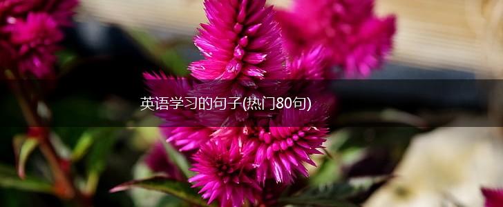 英语学习的句子(热门80句),第1张