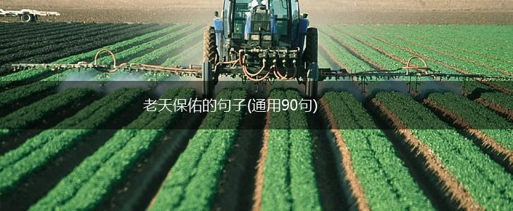 老天保佑的句子(通用90句),第1张