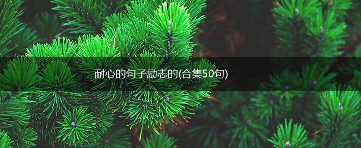 耐心的句子励志的(合集50句),第1张