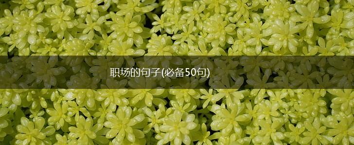 职场的句子(必备50句),第1张