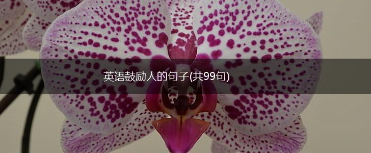 英语鼓励人的句子(共99句),第1张