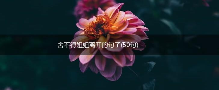 舍不得姐姐离开的句子(50句),第1张