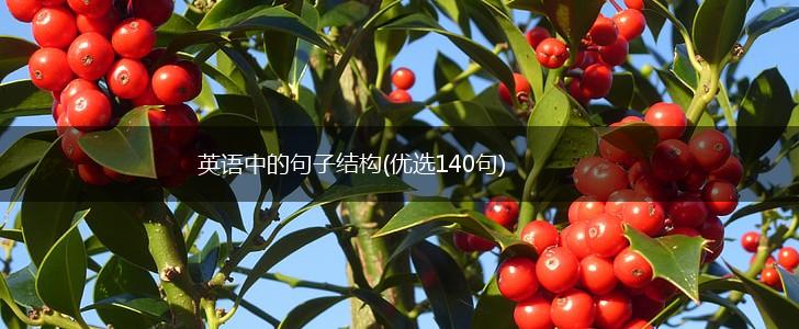 英语中的句子结构(优选140句),第1张