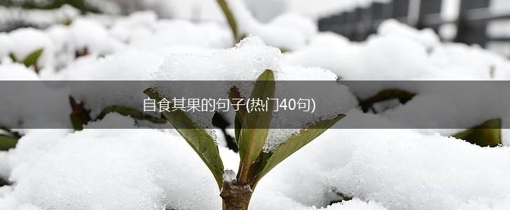 自食其果的句子(热门40句),第1张