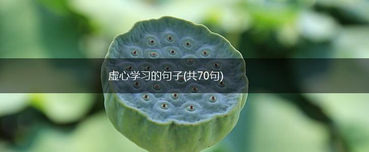 虚心学习的句子(共70句),第1张