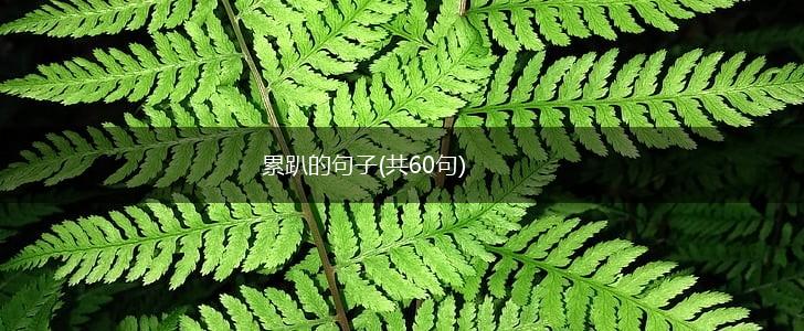 累趴的句子(共60句),第1张