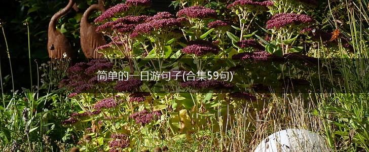 简单的一日游句子(合集59句),第1张