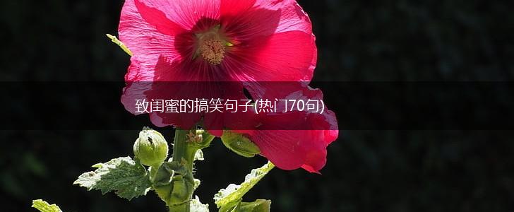致闺蜜的搞笑句子(热门70句),第1张
