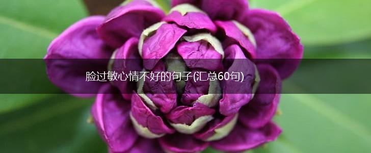 脸过敏心情不好的句子(汇总60句),第1张