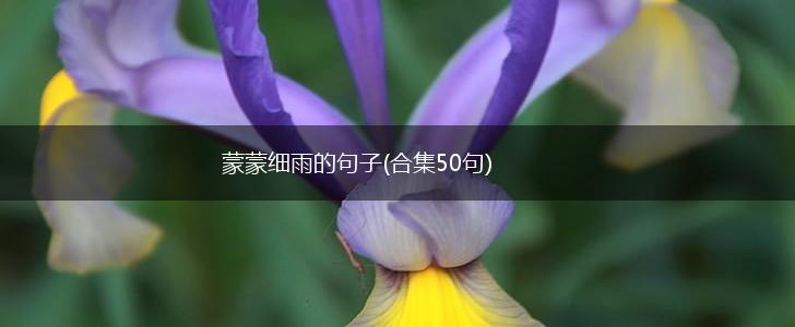 蒙蒙细雨的句子(合集50句),第1张