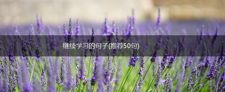 继续学习的句子(推荐50句),第1张