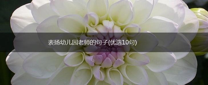 表扬幼儿园老师的句子(优选10句),第1张