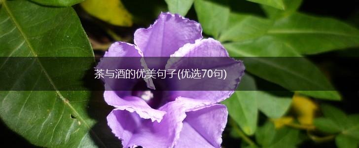 茶与酒的优美句子(优选70句),第1张