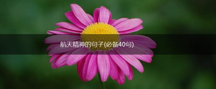 航天精神的句子(必备40句),第1张