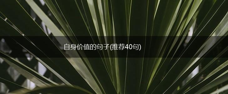 自身价值的句子(推荐40句),第1张
