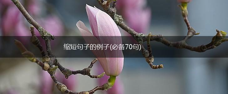 缩短句子的例子(必备70句),第1张