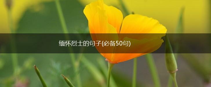 缅怀烈士的句子(必备50句),第1张