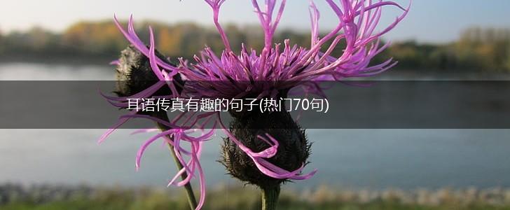 耳语传真有趣的句子(热门70句),第1张