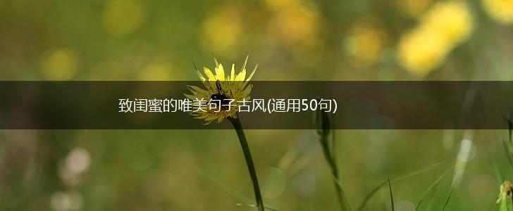 致闺蜜的唯美句子古风(通用50句),第1张
