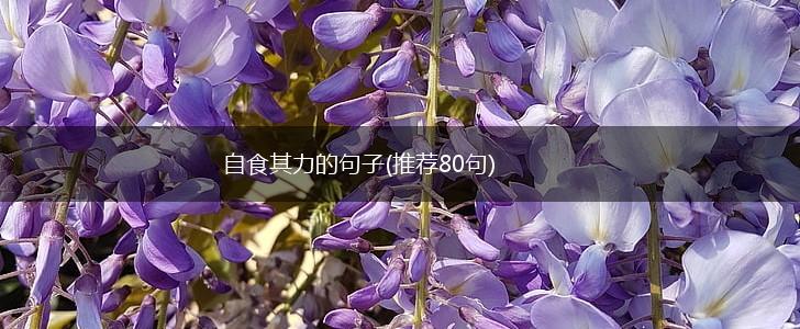 自食其力的句子(推荐80句),第1张