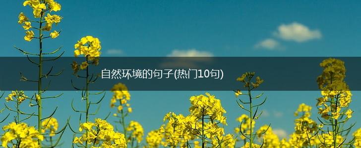 自然环境的句子(热门10句),第1张