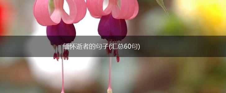 缅怀逝者的句子(汇总60句),第1张