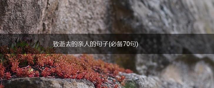 致逝去的亲人的句子(必备70句),第1张