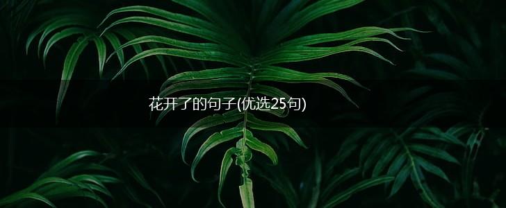 花开了的句子(优选25句),第1张