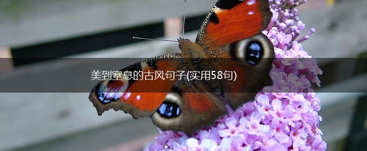 美到窒息的古风句子(实用58句),第1张