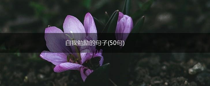 自我勉励的句子(50句),第1张