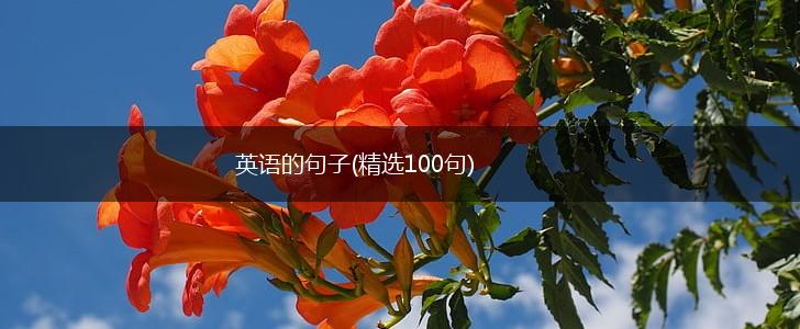 英语的句子(精选100句),第1张