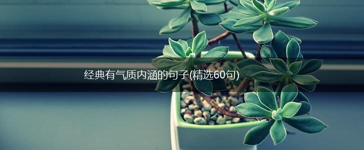 经典有气质内涵的句子(精选60句),第1张
