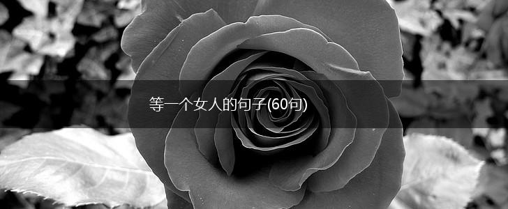等一个女人的句子(60句),第1张