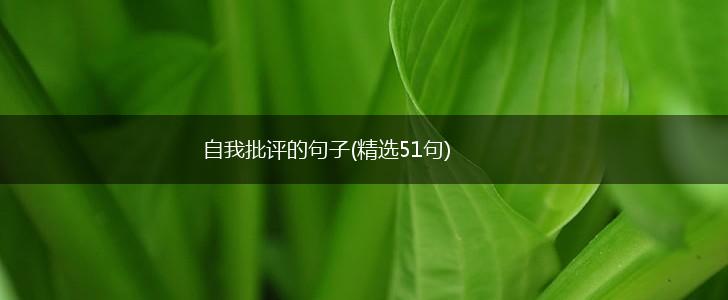 自我批评的句子(精选51句),第1张