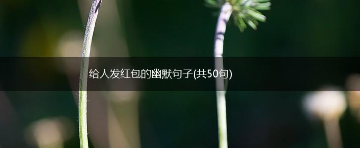 给人发红包的幽默句子(共50句),第1张