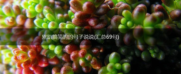 累趴搞笑的的句子说说(汇总69句),第1张